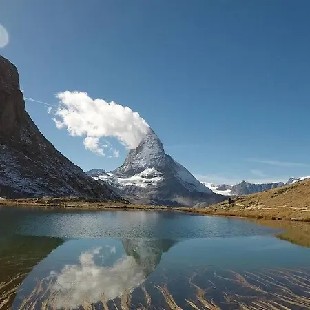 Apartment Local Flat Zermatt